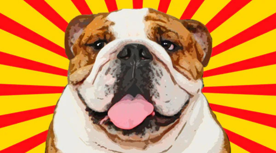 The Case for Intentional Communication: Turning Emails Into a Real Customer Journey